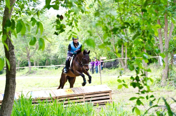 Desporto equestre . — Fotografia de Stock