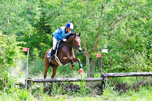 Sport equestre . — Foto Stock