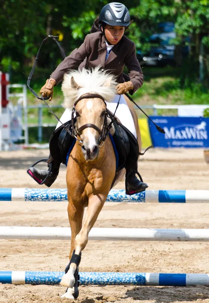 Equestrian sport. — Stock Photo, Image