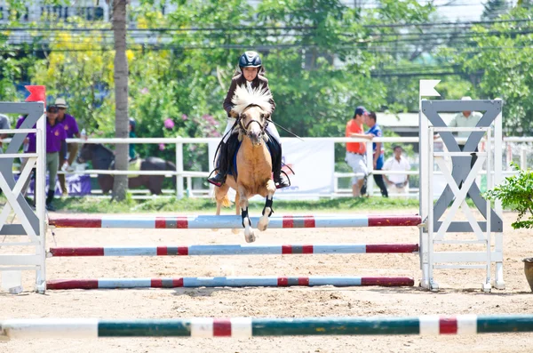 Paardensport. — Stockfoto