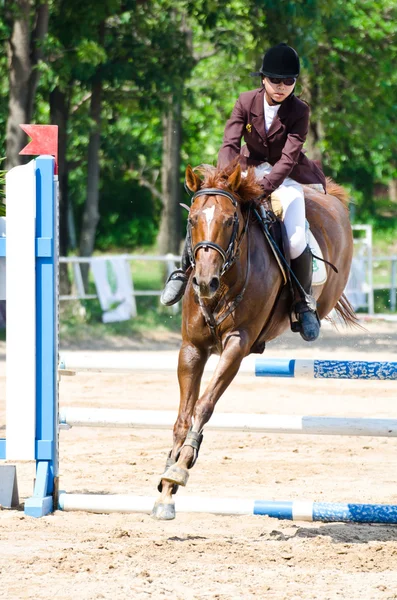 Equestrian sport. — Stock Photo, Image