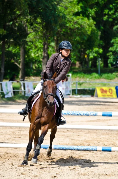 Paardensport. — Stockfoto