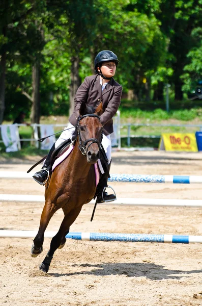 Paardensport. — Stockfoto