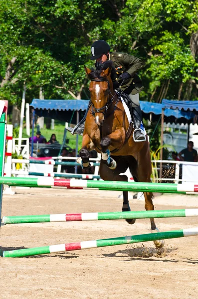 Paardensport. — Stockfoto