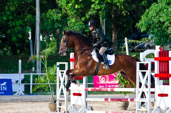 Paardensport. — Stockfoto