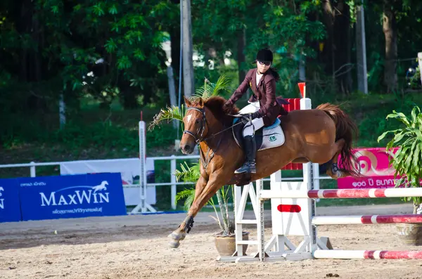 Paardensport. — Stockfoto