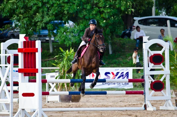 Desporto equestre . — Fotografia de Stock