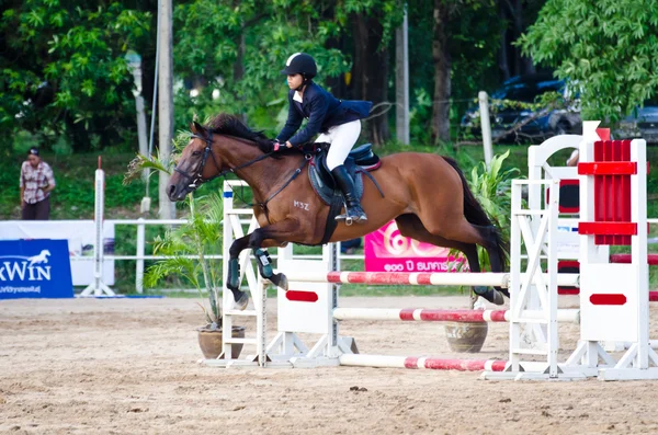 Paardensport. — Stockfoto