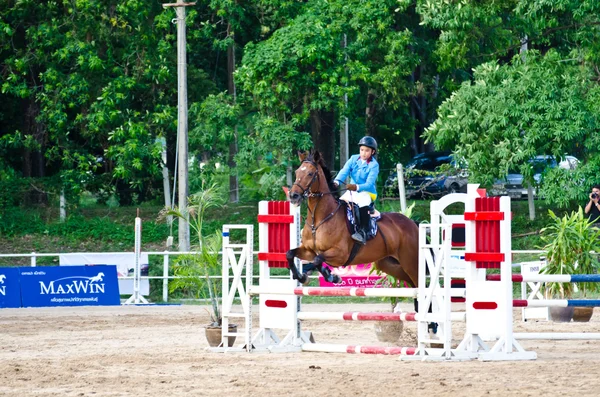 Paardensport. — Stockfoto