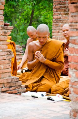 Visakha bucha gün