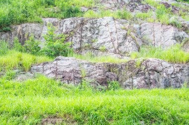 Uçurumdaki kaya katmanları.