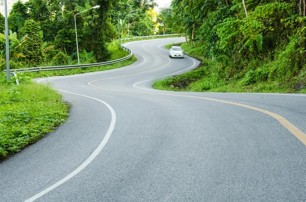 道路、 s 形. — 图库照片