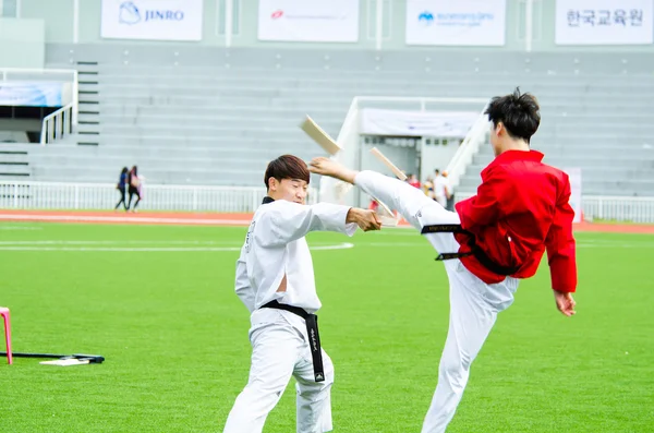 Hanmaeum Mezinárodní sportovní festival 2013 — Stock fotografie