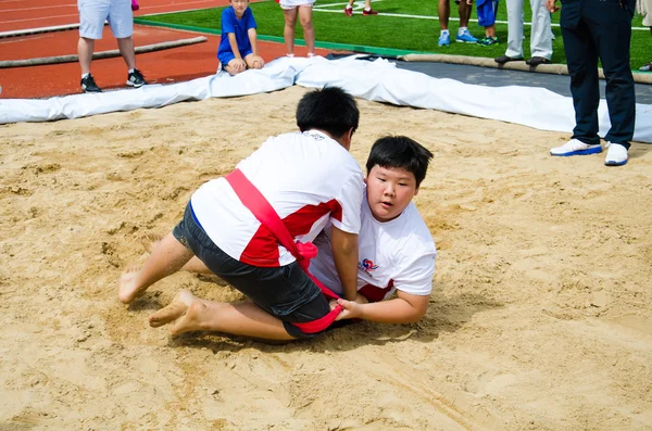 Hanmaeum International Sports Festival 2013 — Stock Photo, Image