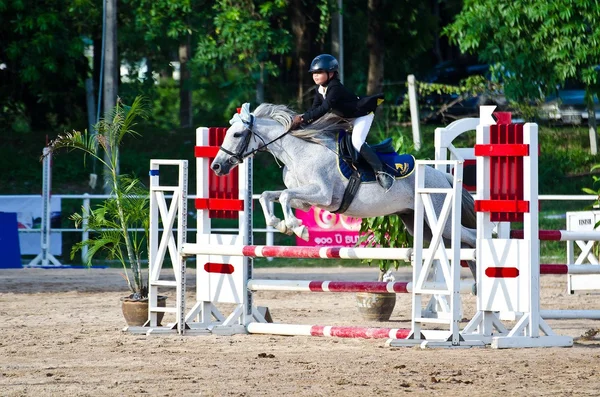 Paardensport concurrentie over de barricaden — Stockfoto