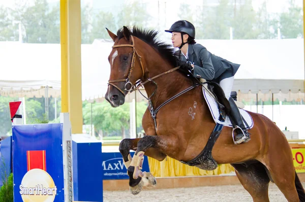 MaxWin Show Jumping League & Horse Guard 2014 — Stock Photo, Image