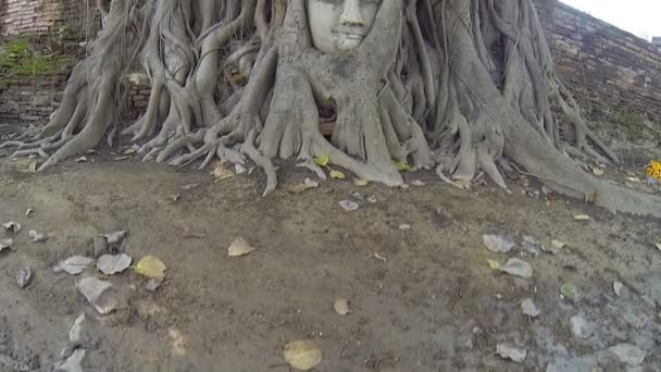 Cabeza Buda hecha de piedra arenisca . — Vídeo de stock