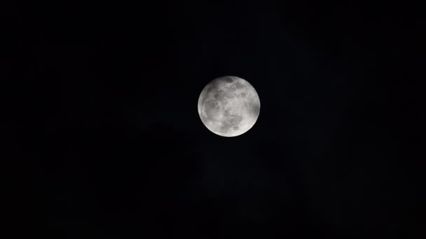 Luna llena en la noche. HD — Vídeo de stock