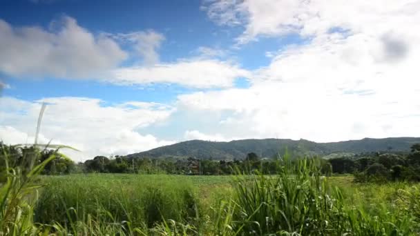 Quelltal und Wolken, nakhon ratchasima, Thailand. hd — Stockvideo