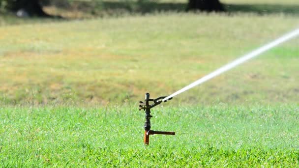 Sprinkler versprüht Wasser auf Hinterhof grünes Gras. — Stockvideo
