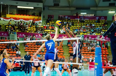 Voleybol Dünya grand prix 2014
