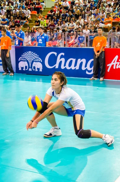 Voleybol Dünya grand prix 2014 — Stok fotoğraf