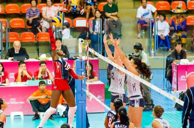 Voleybol Dünya grand prix 2014