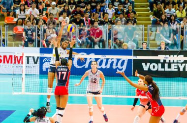 Voleybol Dünya grand prix 2014