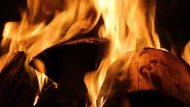 Burning Fire Fireplace Home Winter Warm Comfort Orange Fire Burning — Stock Video