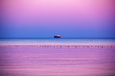 Denizde güzel bir gün batımı. İnanılmaz bir deniz manzarası. Gemi ve kuşlar denizde.