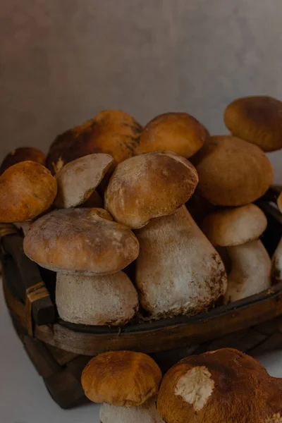 Porcini Las Setas Blancas Cierran Setas Grandes — Foto de Stock