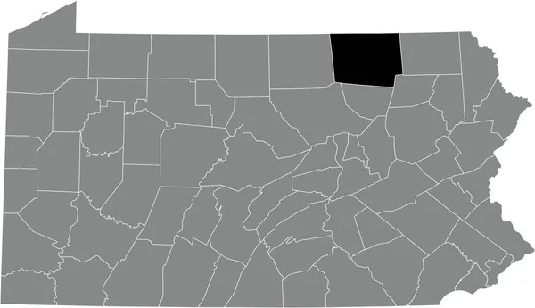 Abd Pennsylvania Federal Eyaleti Nin Gri Idari Haritasında Bradford County — Stok Vektör