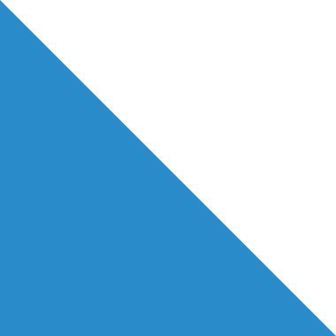 İsviçre 'nin bölgesel başkenti Zürih' in resmi bayrak illüstrasyonu