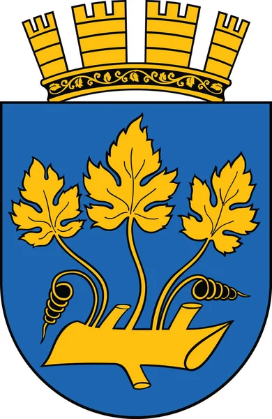 Official Coat Arms Vector Illustration Norwegian Regional Capital City Stavanger — Vetor de Stock