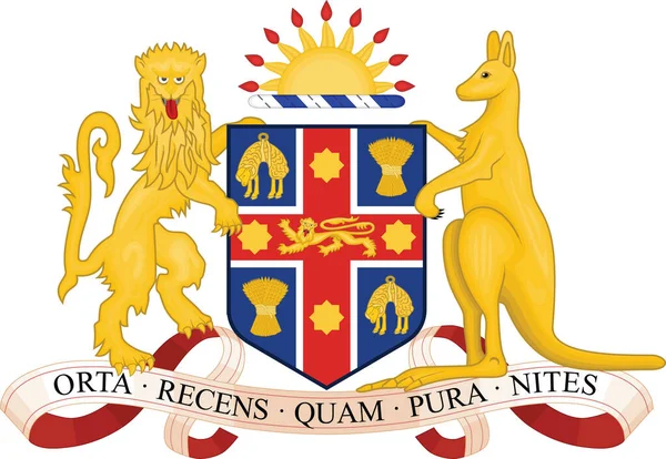 Armoiries Vectorielles Actuelles Officielles État Australien New South Wales Australie — Image vectorielle