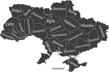 Beyaz sınır çizgileri ve iyonlarının isim etiketleriyle UKRAINE 'ın raion alanlarının koyu gri düz vektör idari haritası