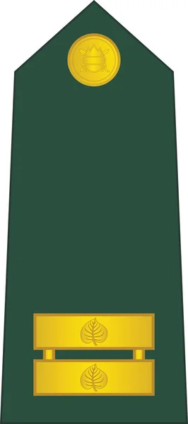 Знак Офицера Нато Плече Знака Отличия Lieutenant Словенских Сухопутных Войсках — стоковый вектор