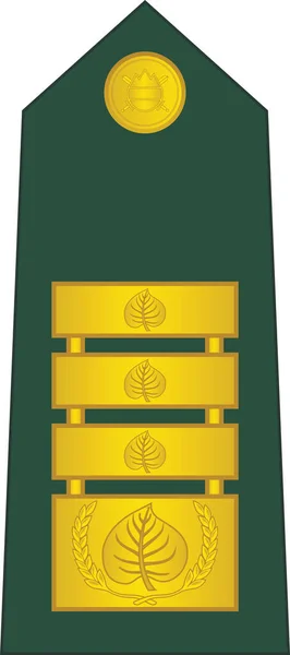 Almohadilla Hombro Marca Oficial Otan Para Rango Insignia General Teniente — Archivo Imágenes Vectoriales