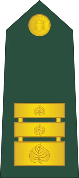 Schulterpolster Nato Offiziersabzeichen Für Den Dienstgrad Lieutenant Colonel Der Slowenischen — Stockvektor