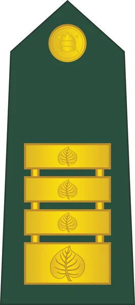 Schulterpolster Nato Offiziersabzeichen Für Den Dienstgrad Colonel Der Slowenischen Bodentruppe — Stockvektor