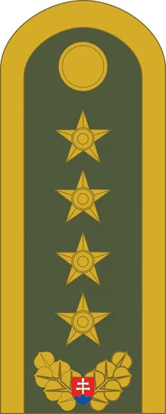 Značka Důstojníka Nato Pro Odznak Generl Slovenské Pozemní Armádě — Stockový vektor
