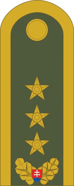 Značka Důstojníka Nato Rameni Pro Odznak Generlporuk Lieutenant General Slovenských — Stockový vektor