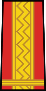 Romanya Kara Kuvvetleri 'nde, NATO' nun MAIOR (MAJOR) rütbesi için omuz yastığı işareti