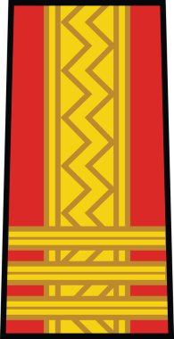 Romanya Kara Kuvvetleri 'nde COLONEL rütbesi için NATO subayı damgası