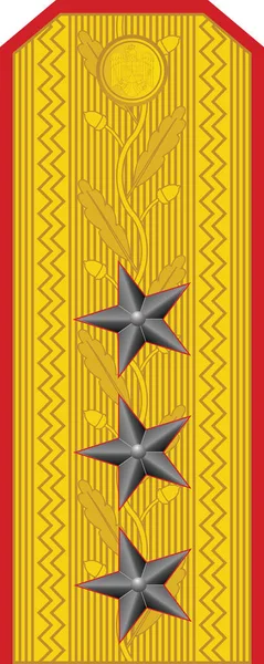 Almohadilla Hombro Marca Oficial Otan Para Rango Insignia General Locotenent — Archivo Imágenes Vectoriales