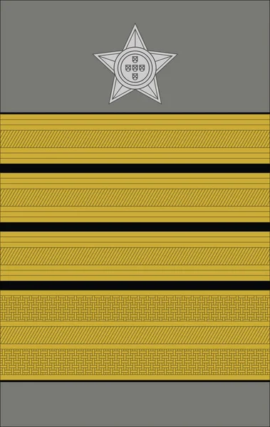 Coronel Tirocinado Senior Colonel 标志在葡萄牙陆军中的肩垫北约军官标志 — 图库矢量图片