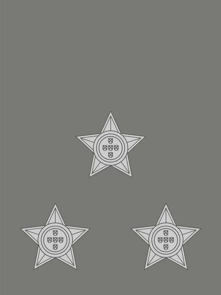 北约官员在葡萄牙陆军中将 Lieutenant General Lieutant General 军衔的肩章标志 — 图库矢量图片