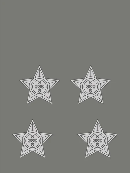 北约官员在葡萄牙陆军中一般徽章军衔的肩章标志 — 图库矢量图片
