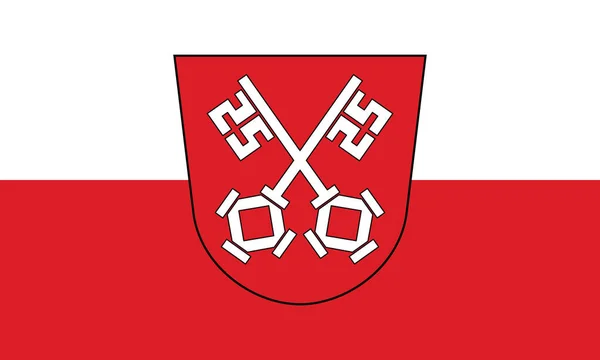 Official Flag Vector Illustration German Regional Capital City Regensburg Germany — Archivo Imágenes Vectoriales