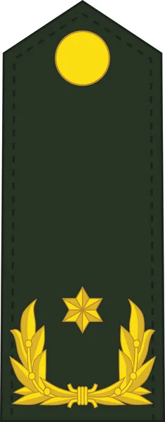 Shoulder Pad Nato Officer Mark Brigadegeneraal Brigadier General Signia Rank — стоковий вектор